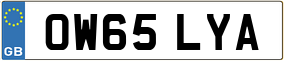 Trailer License Plate